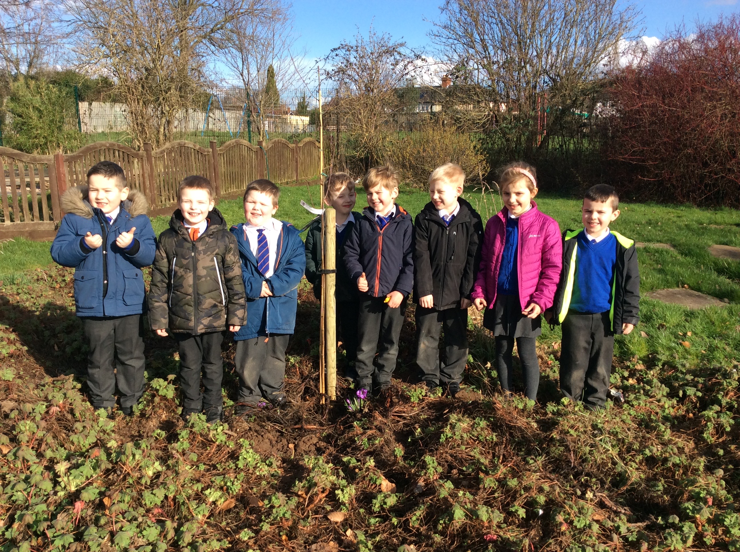 A Year 1 class at Our Lady’s Primary School, Hereford, planting one of their five new trees.