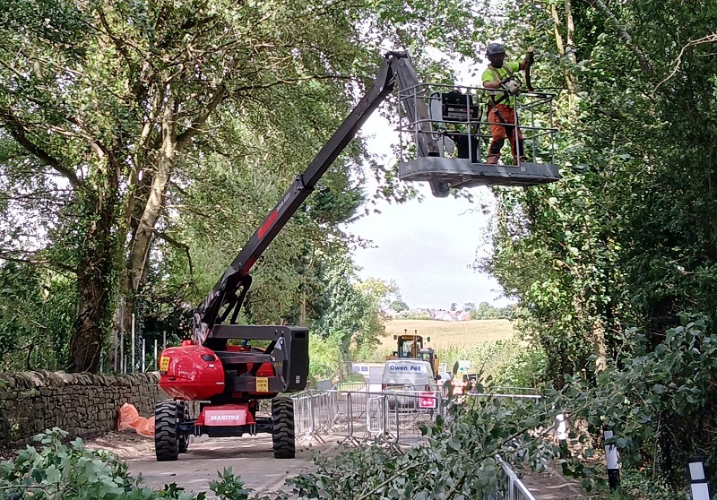 Bartestree crane