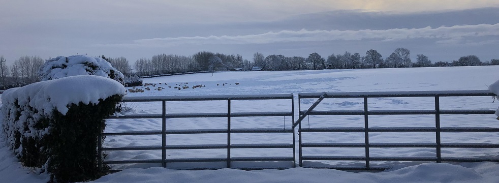 Snow scene - looking through gates across field