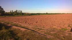 A ploughed field at Spring Farm, Hildersley
