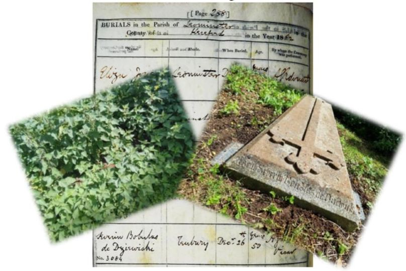 A burial record and a grave in a church yard